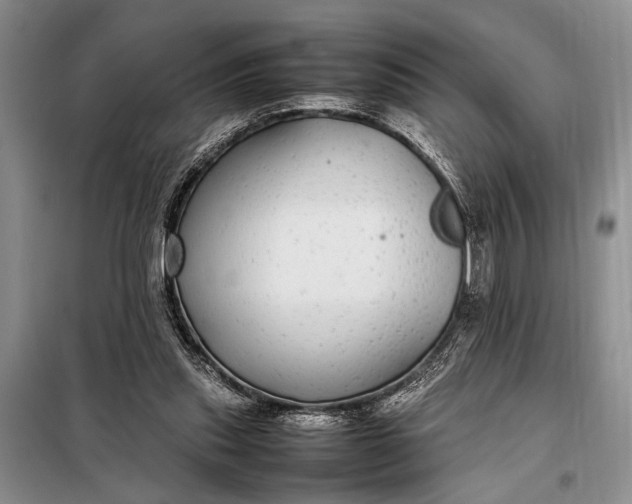 X0000098120253200804181528