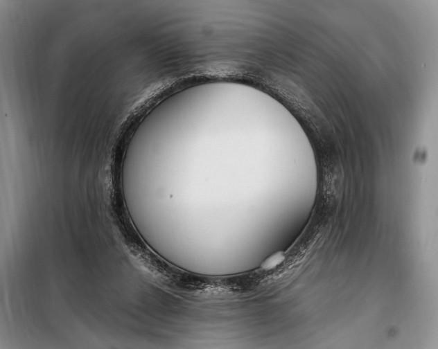 X0000098120256200804181528