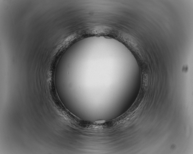 X0000098120260200804181528