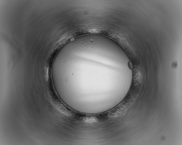 X0000098120262200804181528