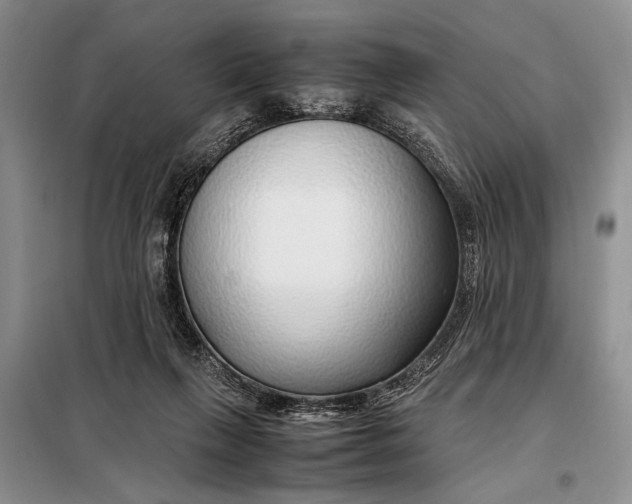 X0000098120263200804181528