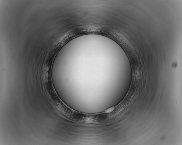 X0000098120264200804181528