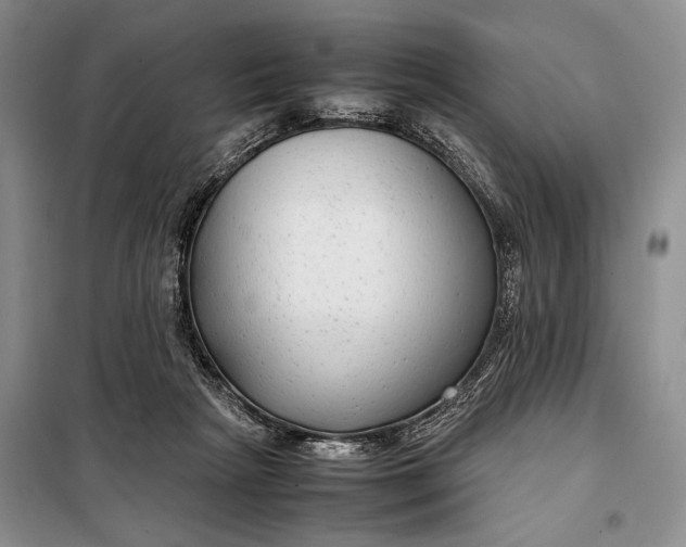 X0000098120265200804181528