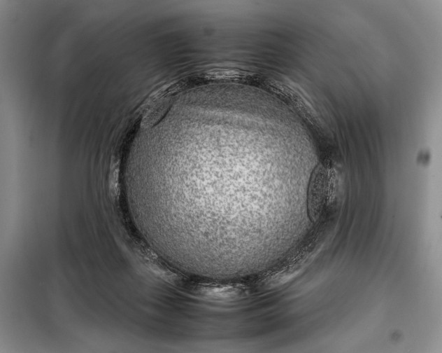 X0000098120267200804181528