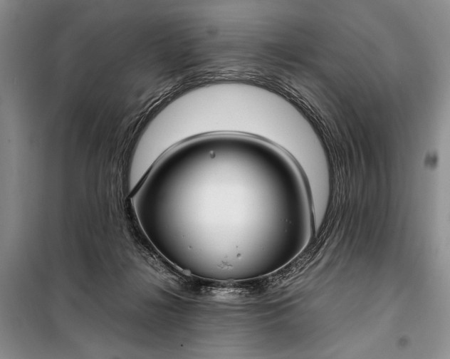 X0000098120268200804181528