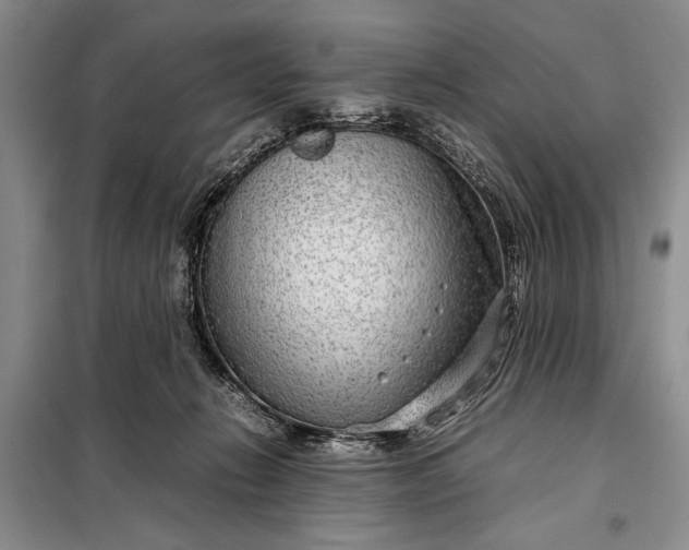X0000098120270200804181528