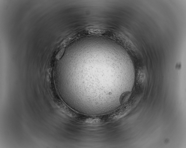 X0000098120271200804181528