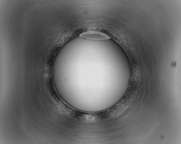 X0000098120272200804181528