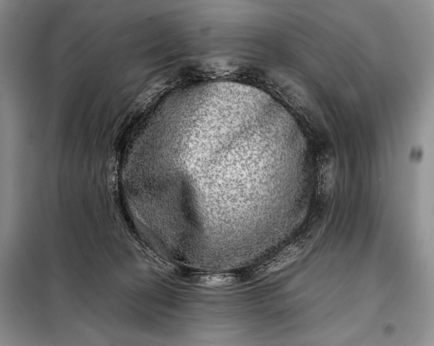 X0000098120274200804181528
