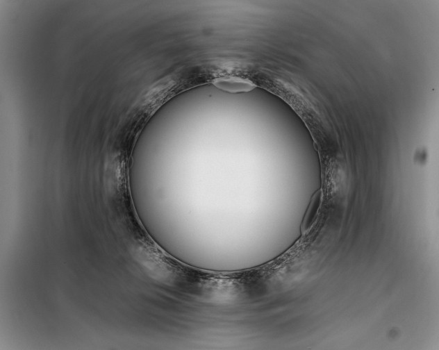 X0000098120276200804181528