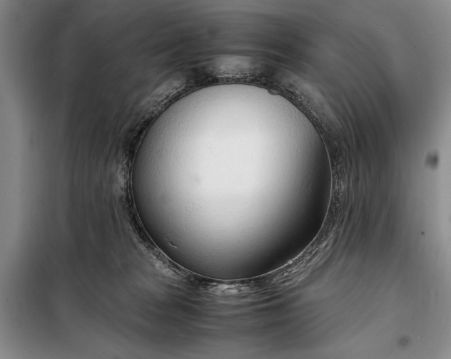 X0000098120277200804181528