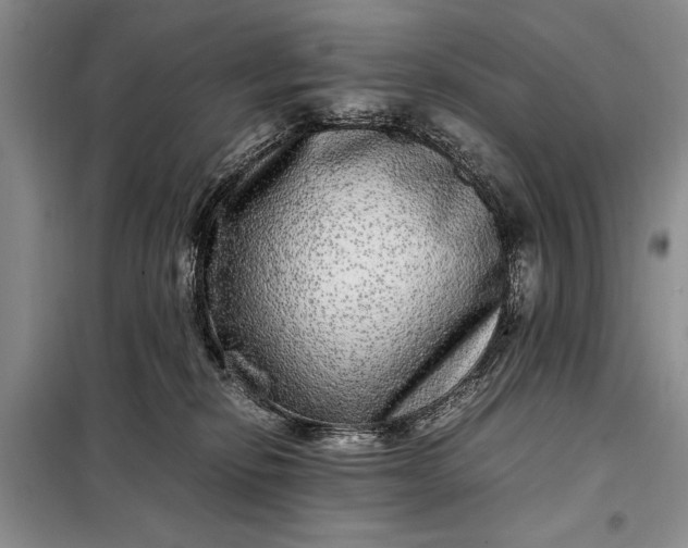 X0000098120278200804181529