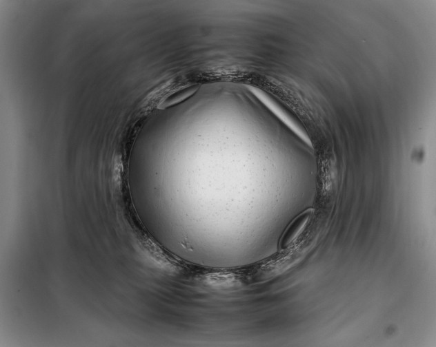 X0000098120279200804181529