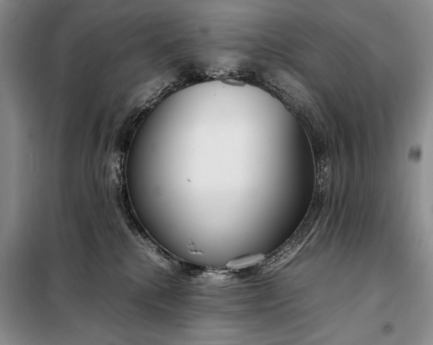X0000098120280200804181529
