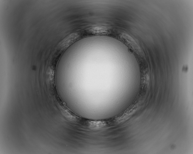 X0000098120281200804181529