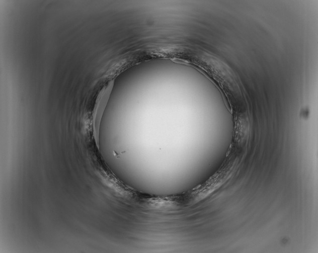 X0000098120284200804181529