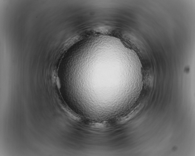 X0000098120285200804181529