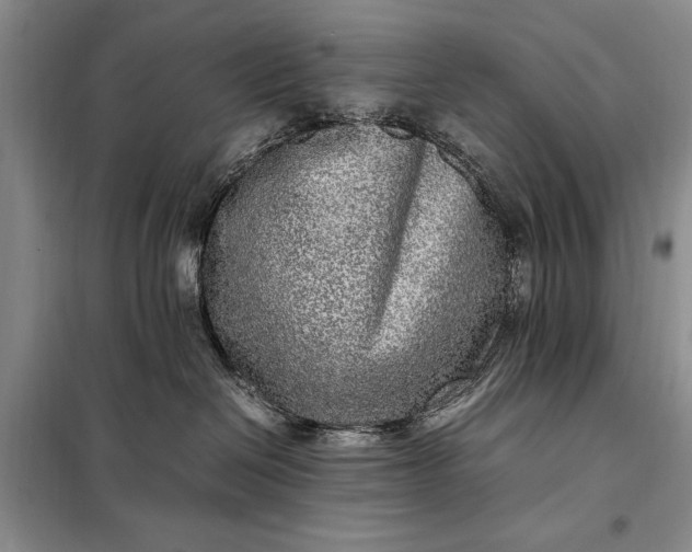 X0000098120286200804181529