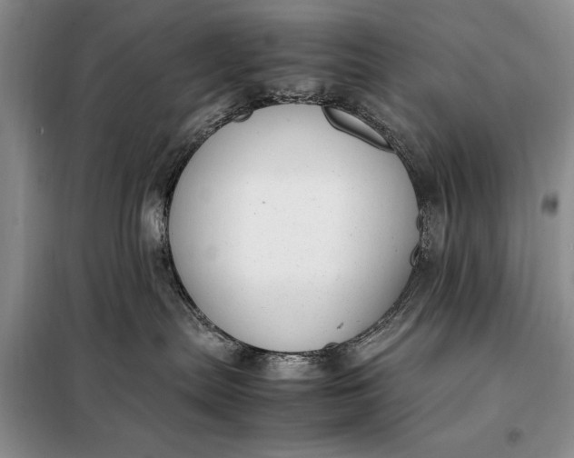 X0000098120287200804181529