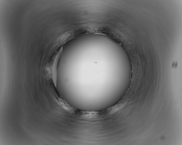 X0000098120288200804181529
