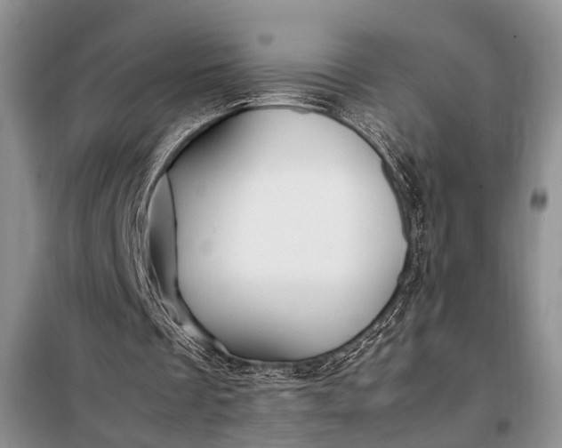 X0000098120289200804181528