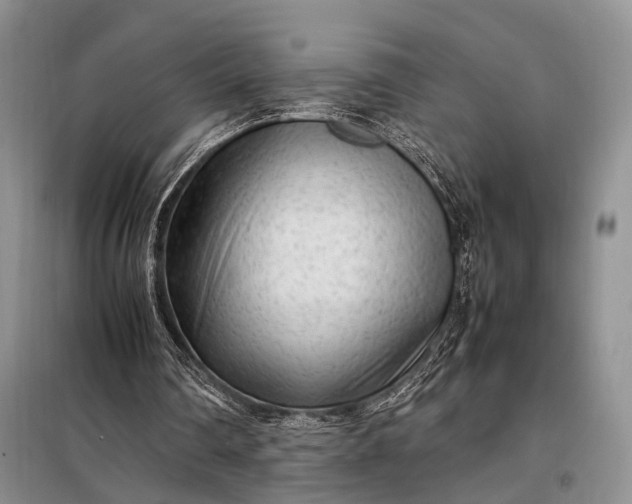 X0000098120290200804181528