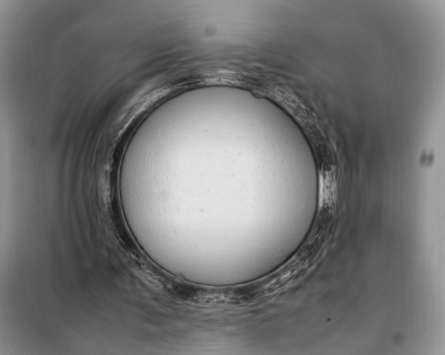 X0000098120291200804181528
