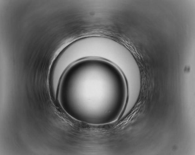 X0000098120292200804181528