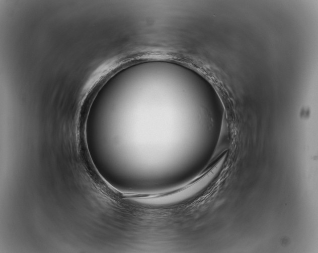 X0000098120296200804181528