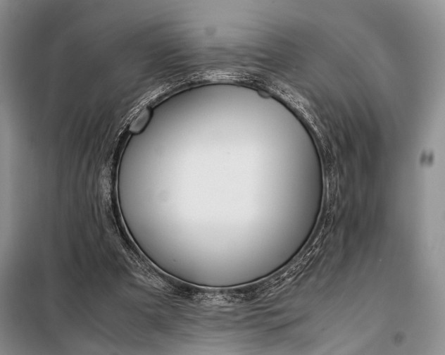 X0000098120297200804181528