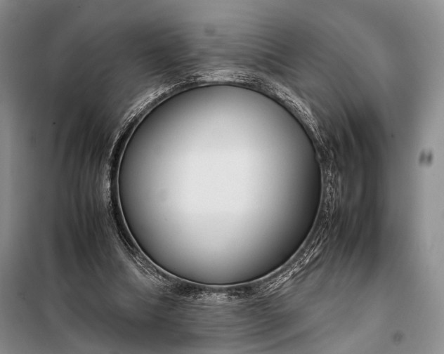 X0000098120298200804181528