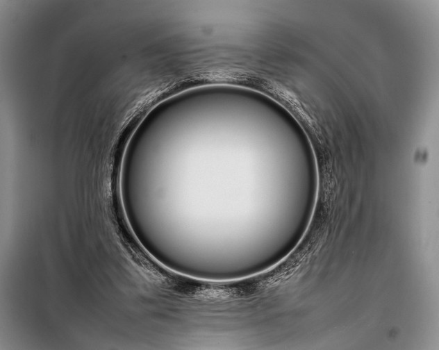 X0000098120299200804181528
