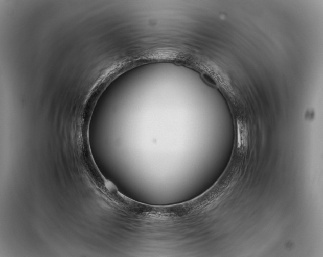 X0000098120300200804181528