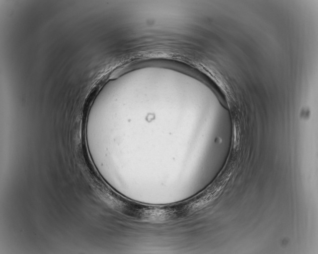 X0000098120301200804181528