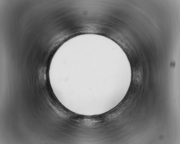 X0000098120302200804181528