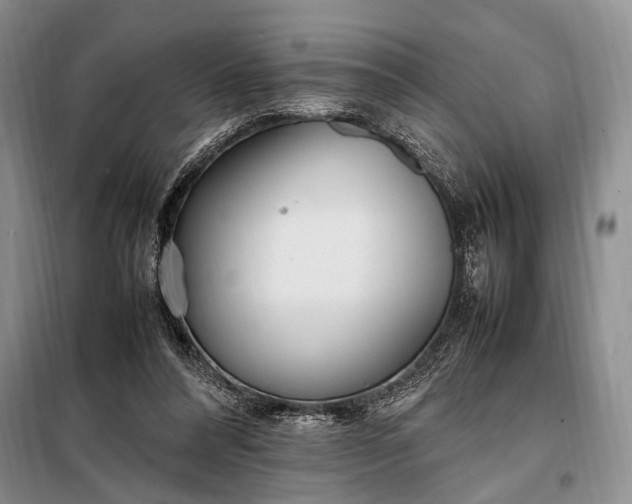 X0000098120304200804181528