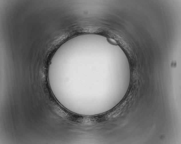 X0000098120305200804181528