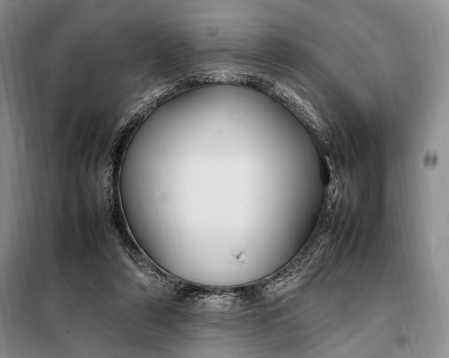 X0000098120306200804181528