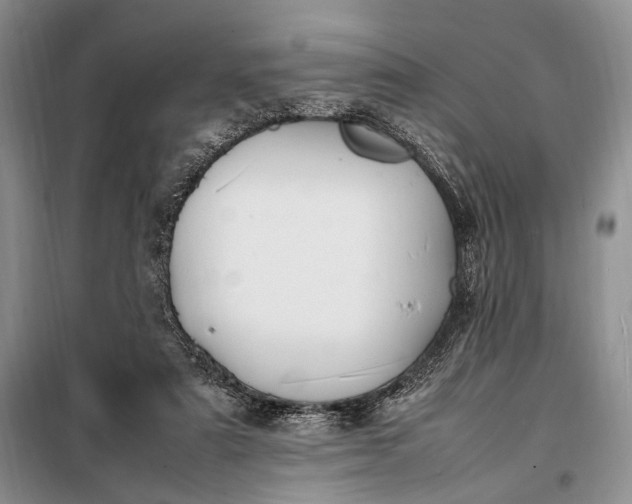 X0000098120307200804181528