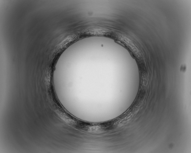 X0000098120309200804181527