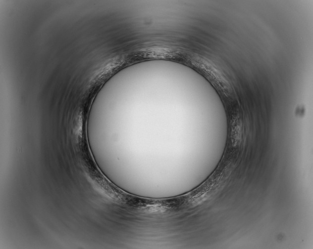X0000098120310200804181527