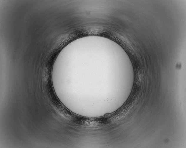 X0000098120311200804181527