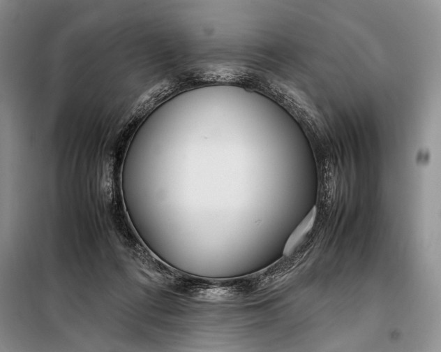 X0000098120312200804181527