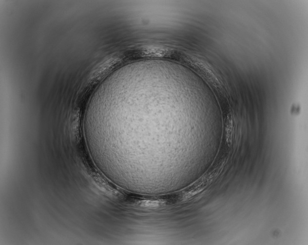 X0000098120314200804181527