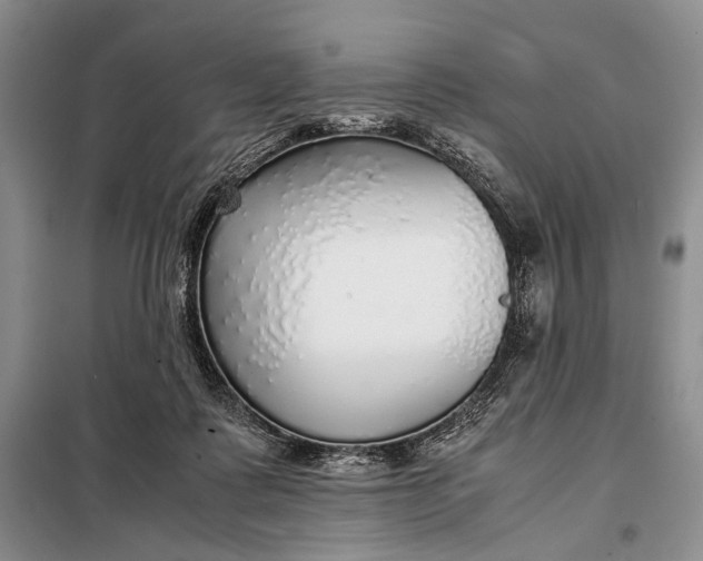 X0000098120315200804181527