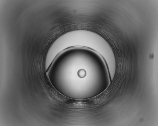 X0000098120316200804181527
