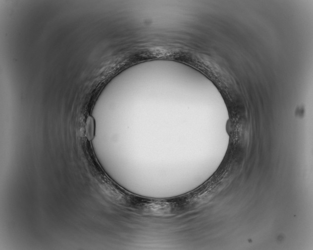 X0000098120317200804181527