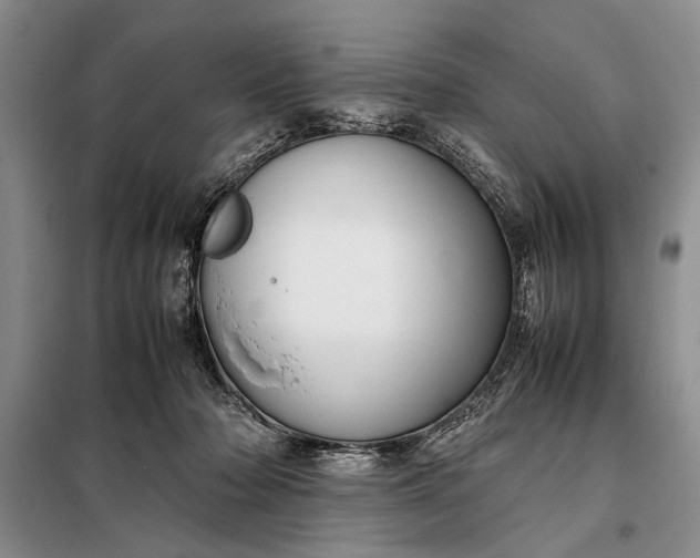 X0000098120318200804181527