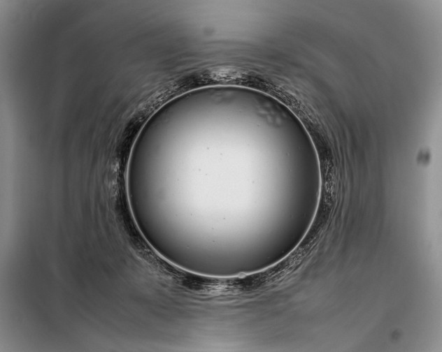 X0000098120319200804181527