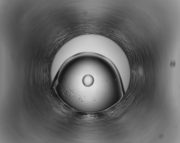 X0000098120320200804181527